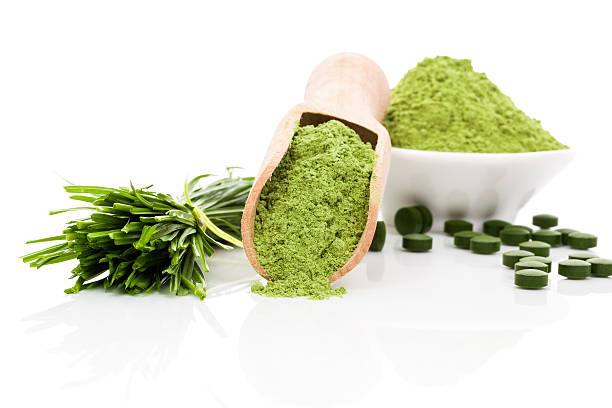 brain mental supplements