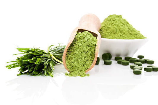 brain mental supplements