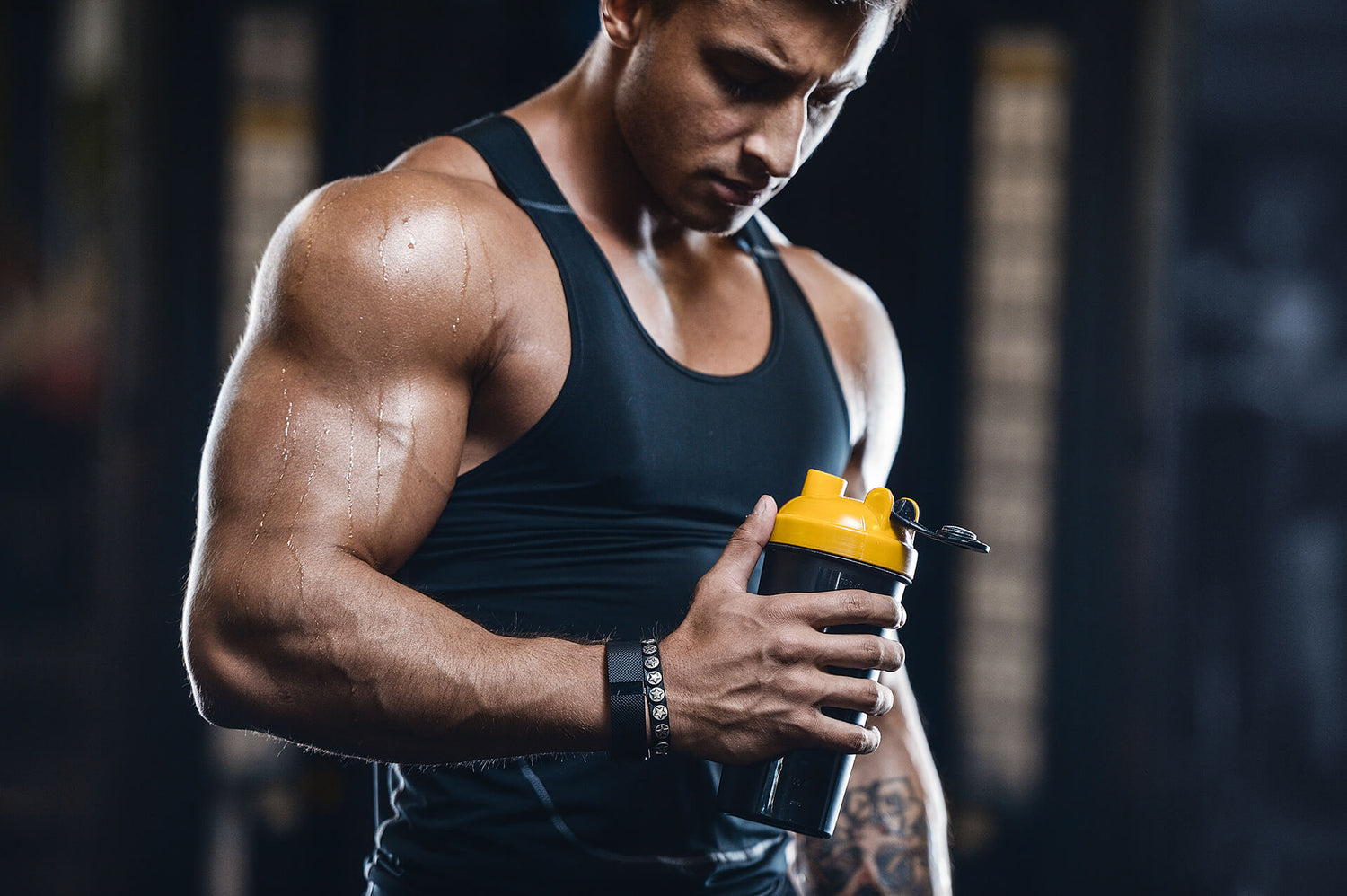 High Quality Sport Nutritional Supplements