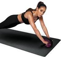 Melissa Gorga's Dual AB Wheel